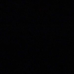 Meet your Posher, Ava